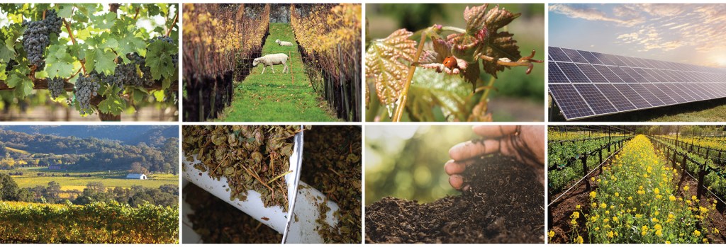 SUSTAINABILITY PHotogrid