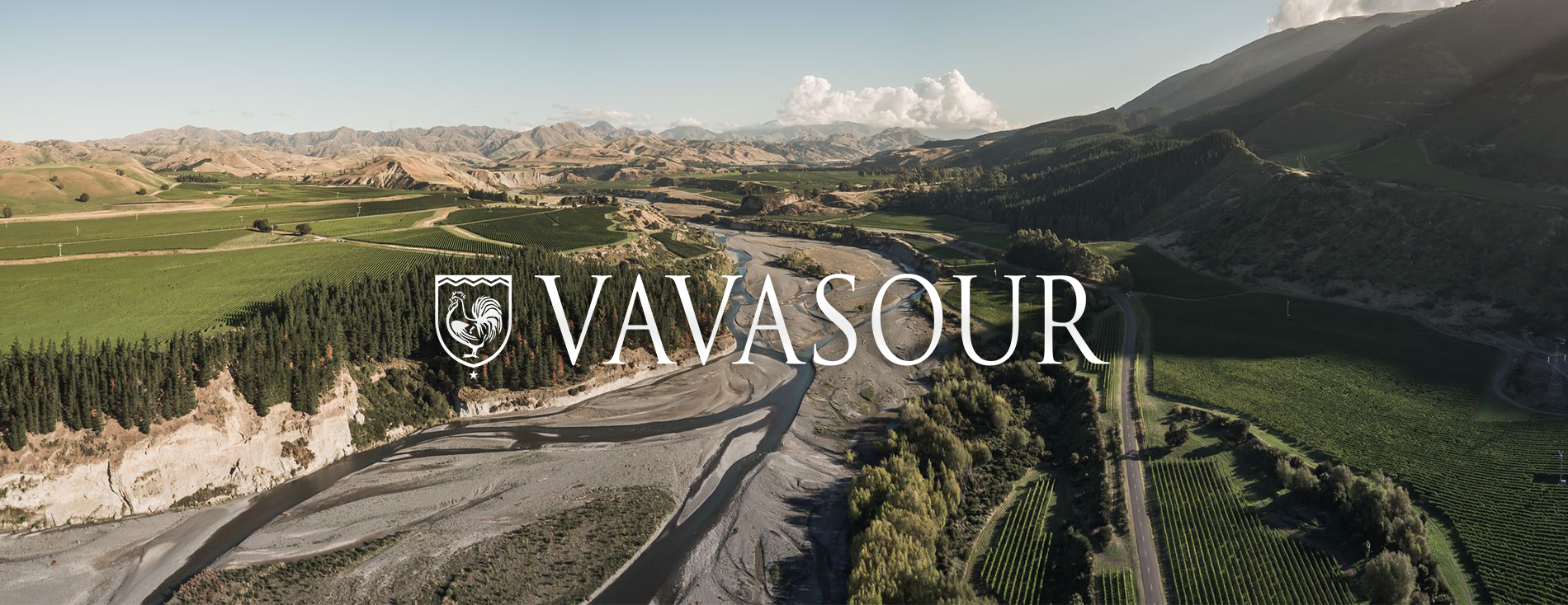 Vavasour
