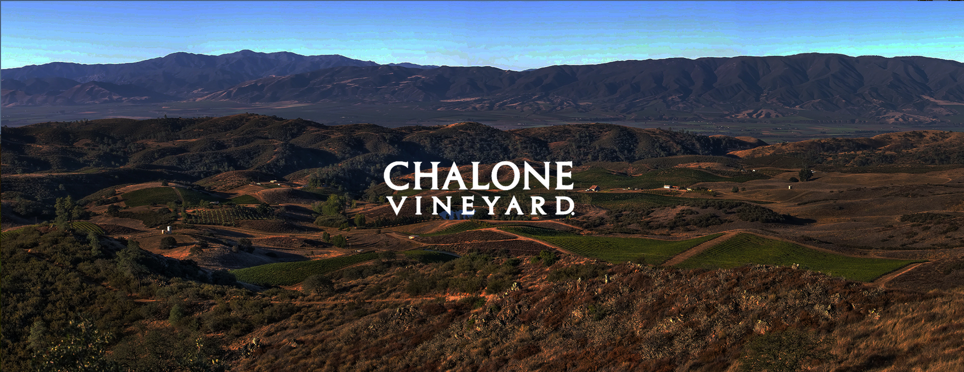 Chalone Vineyard