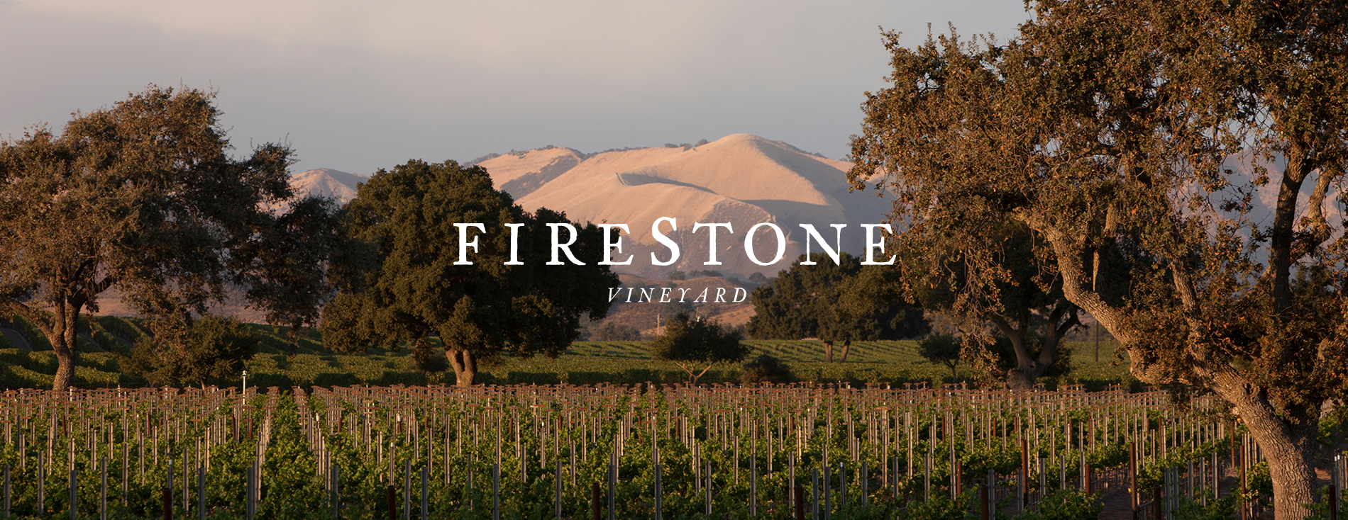 Firestone Vineyard
