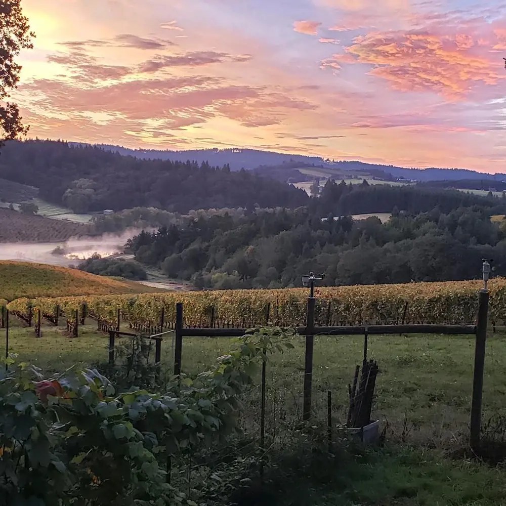 four graces doe ridge morning sq