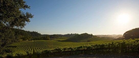 hero lancaster estate