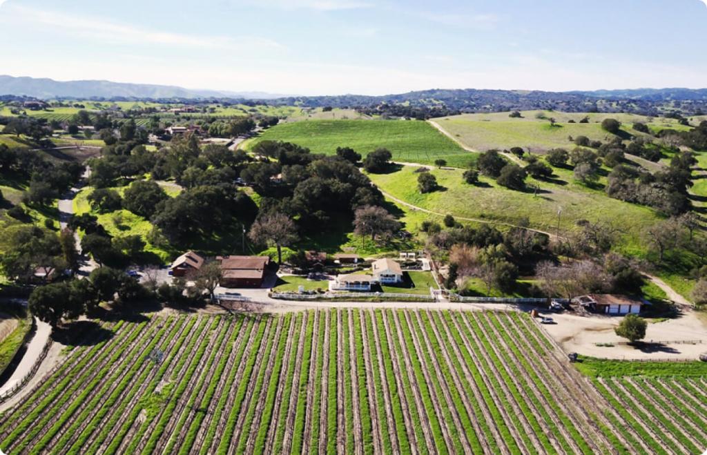 history behind foley