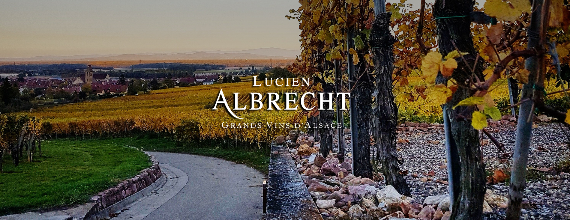 Lucien Albrecht