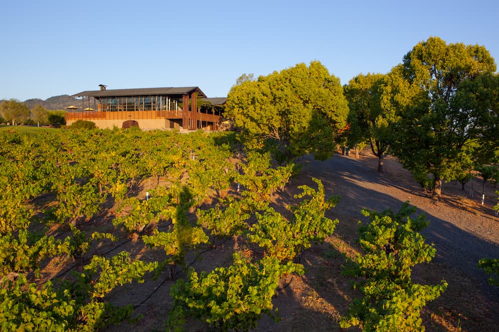 banshee new location geyserville 1