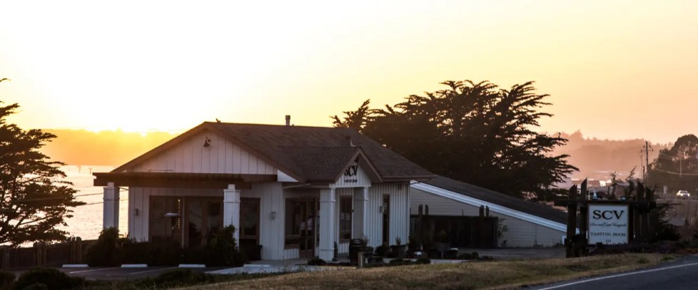 Sonoma Coast Vineyards